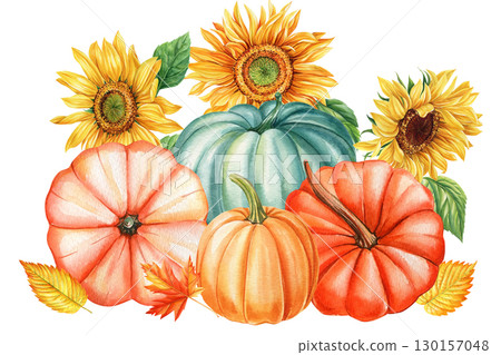 Colored pumpkins, sunflowers and leaves painted by hand in watercolor isolated on white background. Autumn postcard 130157048