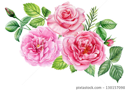 Beautiful flowers. Roses, buds and leaves on a white background, watercolor painting, pink floral illustration 130157098