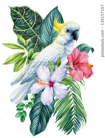 Beautiful tropical bird. Cockatoo parrot, flowers and leaf in isolated background. Watercolor illustration hand drawing 130157107