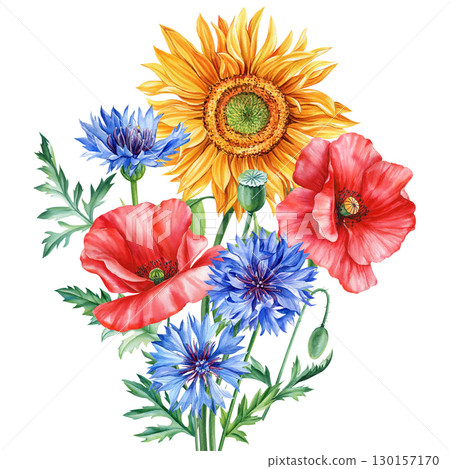 Wildflowers isolated on white background. Bouquet flowers sunflower, poppy and cornflower. Watercolor floral. 130157170