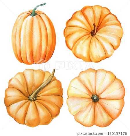 Pumpkins set on isolated white background, autumn yellow pumpkin, watercolor illustration hand drawn Pumpkins set on isolated white background, autumn yellow pumpkin, watercolor illustration hand drawn 130157176