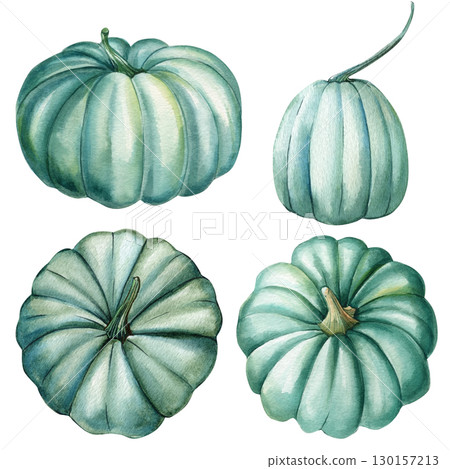 Pumpkins on isolated white background, green vegetable set, watercolor illustration hand drawn 130157213