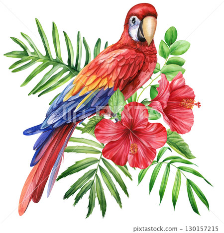 Beautiful tropical bird. Macaw red parrot, flowers and leaf in isolated background. Watercolor illustration hand drawing Beautiful tropical bird. Macaw red parrot, flowers and leaf in isolated background. Watercolor illustration hand drawing 130157215
