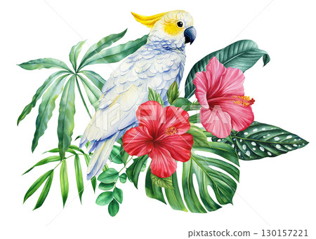 Beautiful tropical bird. Cockatoo parrot, flowers and leaf in isolated background. Watercolor illustration hand drawing 130157221