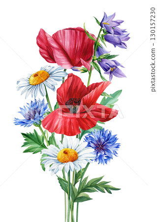 Wildflowers isolated on white background. Summer flowers sunflower, poppy, bluebell and chamomile, watercolor painting Wildflowers isolated on white background. Summer flowers sunflower, poppy, bluebell and chamomile, watercolor painting 130157230