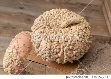 Galeux D Eysines Pumpkin on Rustic Wooden Crate Galeux D Eysines Pumpkin on Rustic Wooden Crate 130157251