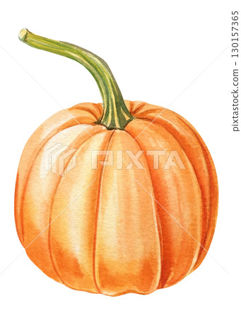 Pumpkins on isolated white background, autumn set on isolated white background, watercolor illustration hand drawn 130157365