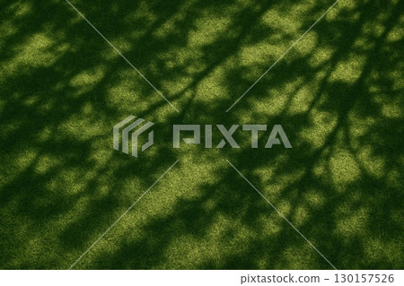 Top-Down View of Lush Green Grass in Midday Sun 130157526