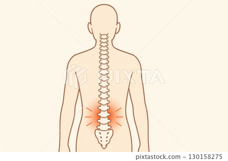 Human spine lumbar pain backache orthopedic concept medical illustration lower back skeleton anatomy health pain area vertebrae body injury discomfort healthcare bone posture wellness medical Human spine lumbar pain backache orthopedic concept medical illustration lower back skeleton anatomy health pain area vertebrae body injury discomfort healthcare bone posture wellness medical 130158275