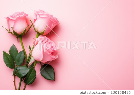 Three elegant pink roses arranged on a soft pink background for a stylish display Three elegant pink roses arranged on a soft pink background for a stylish display 130158455