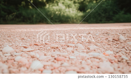 Colorful pebbled pathway winding through lush greenery in a serene outdoor setting during the daytime 130158735