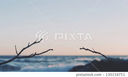 Coastal branches reaching towards the horizon during a serene sunset at the ocean 130158751