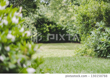 Lush green garden pathway surrounded by vibrant foliage in afternoon light 130158788