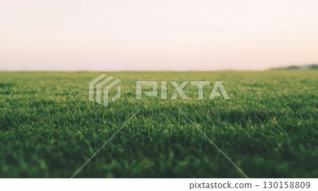 Vast green field under a clear sky during sunset at a rural location 130158809