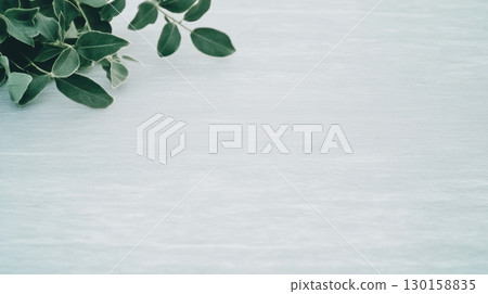 Green leaves on a light blue wooden surface create a serene and calming atmosphere indoors 130158835