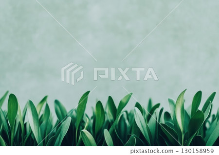 Lush green leaves growing against a subtle textured background in a natural setting 130158959