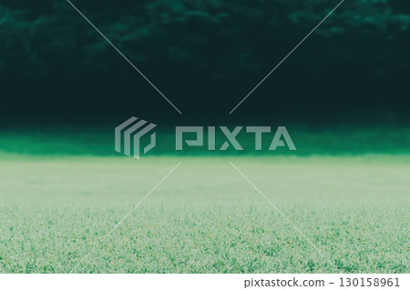 Lush green grass field with a dark tree line in the background during a calm and serene afternoon 130158961