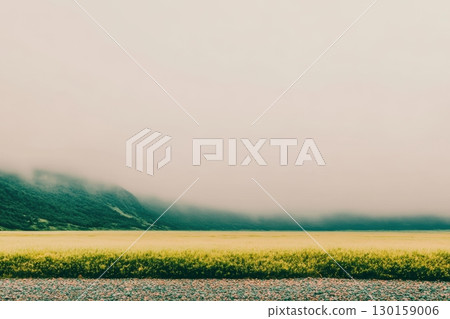 Misty morning over a golden meadow near rolling hills in a serene landscape 130159006
