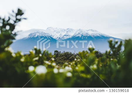 Snow-capped mountains rise above lush greenery in a tranquil landscape during a cloudy day 130159018