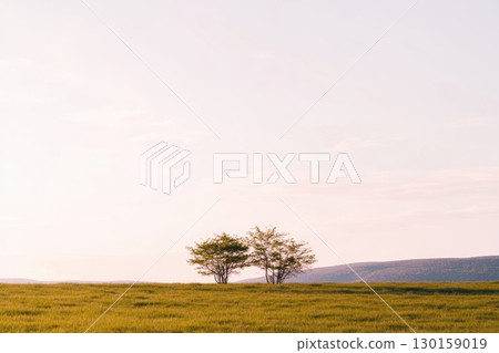 Two trees stand gracefully in a vast grassy field during twilight hours in serene countryside scenery 130159019