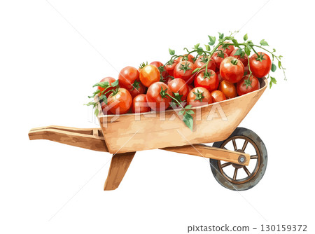 Wheelbarrow full of tomatoes vector illustration. 130159372