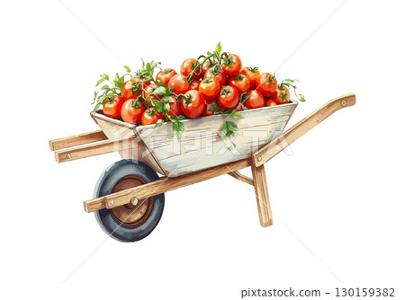 Wheelbarrow full of tomatoes vector illustration. 130159382