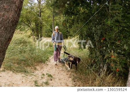 person walks two dogs on path in forest or park. Pet training with handler, professional dog walker. person walks two dogs on path in forest or park. Pet training with handler, professional dog walker. 130159524