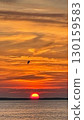 Beautiful Golden sunset on the beach. A flock of birds flies across the sky at sunset 130159583