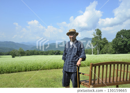 An old man walking through a buckwheat field using a walking stick An old man walking through a buckwheat field using a walking stick 130159665