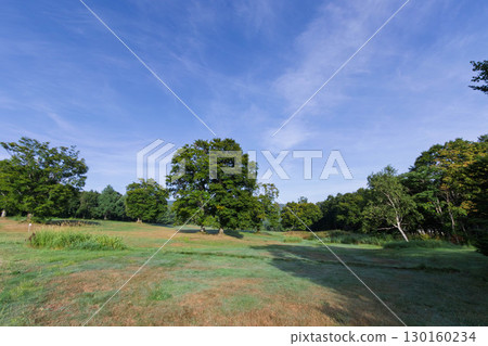 Okushiga Kogen在夏天 130160234