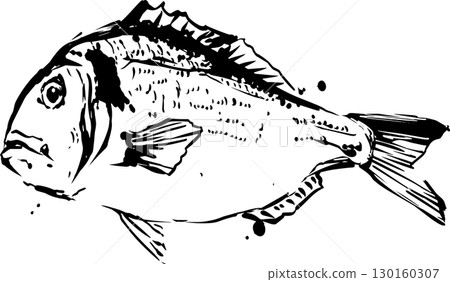 鯛魚水墨畫插圖 130160307