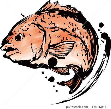 鯛魚水墨畫插圖 130160310