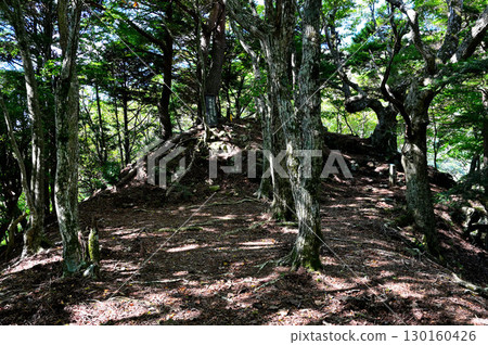 禦坂山地城山(本棲城跡)、武田前線歷史公園、城山遺址(號誌站台) 禦坂山地城山(本棲城跡)、武田前線歷史公園、城山遺址(號誌站台) 130160426