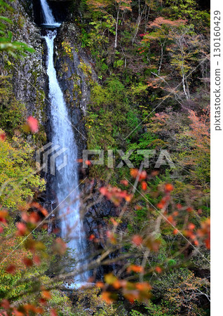 天子山脈的毛無山、毛無山路線、從不動瀑布觀景台看到的被秋葉覆蓋的不動瀑布 天子山脈的毛無山、毛無山路線、從不動瀑布觀景台看到的被秋葉覆蓋的不動瀑布 130160429