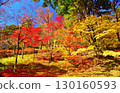 Autumn leaves at Funaokayama Park in Ojiya City, Niigata Prefecture 130160593