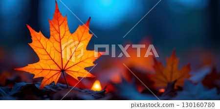 Vibrant maple leaf displaying autumn colors 130160780