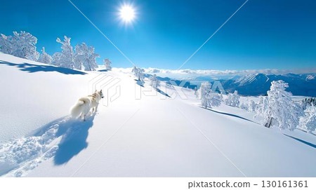 一隻狗在潔白的雪原上自由奔跑的剪影 130161361