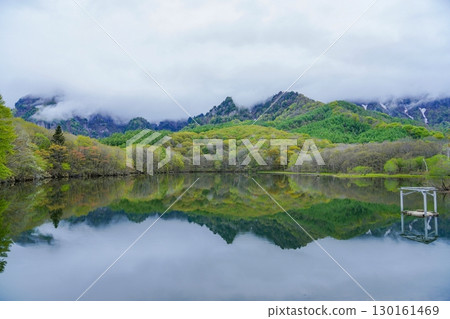 被新綠包圍的鏡池春日風景 130161469