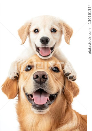 A happy moment when a smiling adult dog and a puppy cuddle together 130161554
