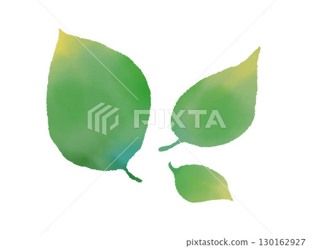 水彩風格的葉子 水彩風格的葉子 130162927