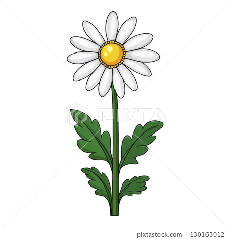 A simple illustration of daisy flower with white petals and yellow center, set against plain background. green stem and leaves add natural touch to cheerful design 130163012