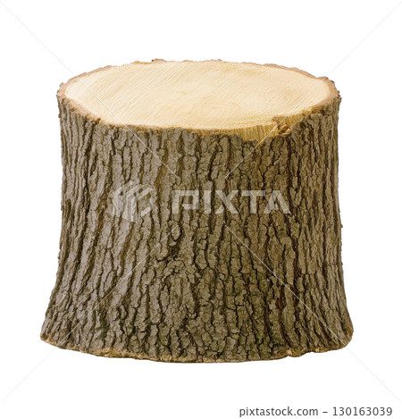 A tree stump with rough bark and smooth, flat top surface, isolated on transparency background. texture of bark contrasts with clean cut of top, showcasing natural wood patterns 130163039