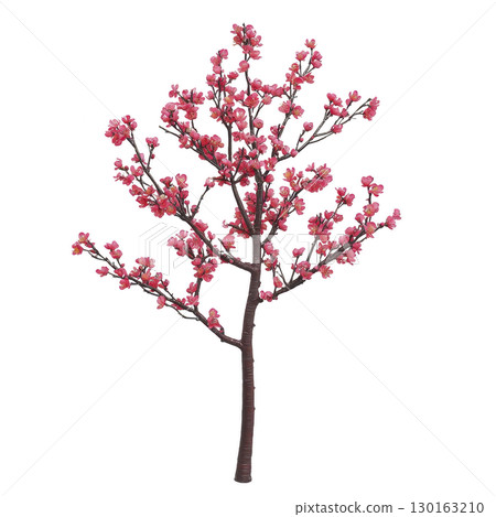 A vibrant cherry blossom tree with pink flowers in full bloom, showcasing delicate petals and slender branches. tree stands isolated against transparency background, highlighting its natural beauty A vibrant cherry blossom tree with pink flowers in full bloom, showcasing delicate petals and slender branches. tree stands isolated against transparency background, highlighting its natural beauty 130163210