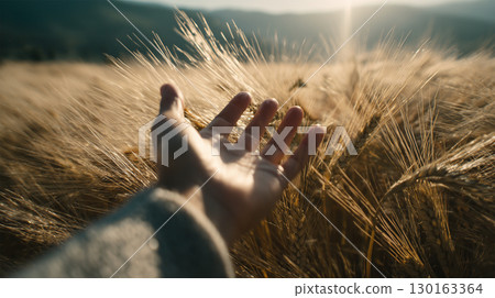 晨光中，一位女士從上方伸出手去觸摸稻米的尖端 130163364