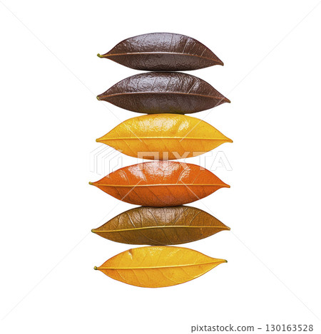 A vertical arrangement of six leaves showcases gradient of colors from dark brown to vibrant yellow, highlighting natural transition of leaf colors in autumn 130163528