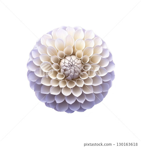 A close up of symmetrical dahlia flower with soft white and purple petals, showcasing its intricate and delicate structure against transparency background 130163618