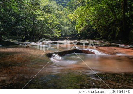 大分縣佐伯市，新綠點綴的藤河內溪谷 130164128