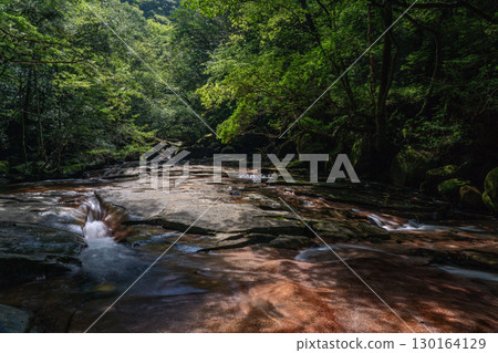 大分縣佐伯市，新綠點綴的藤河內溪谷 130164129