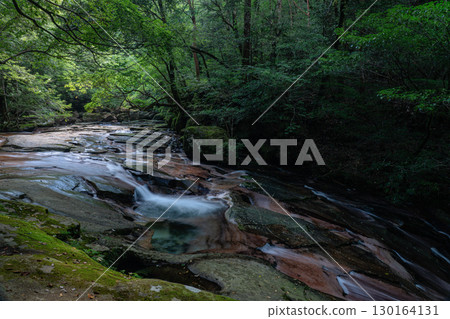 Fujikawachi Valley, lit by fresh greenery, Saiki City, Oita Prefecture Fujikawachi Valley, lit by fresh greenery, Saiki City, Oita Prefecture 130164131