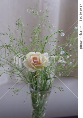 玫瑰的窗戶 玫瑰的窗戶 130164647